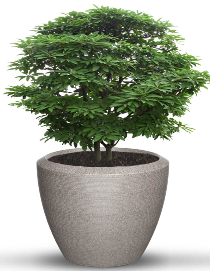 Piatto Extra Large Planter