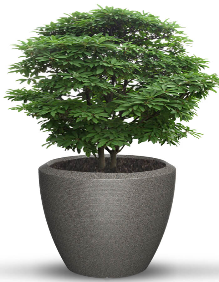 Piatto Extra Large Planter