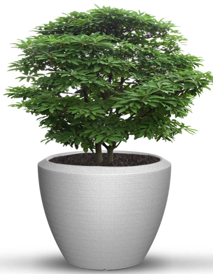 Piatto Extra Large Planter