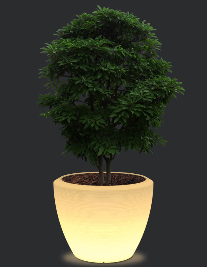 Piatto LED Planter