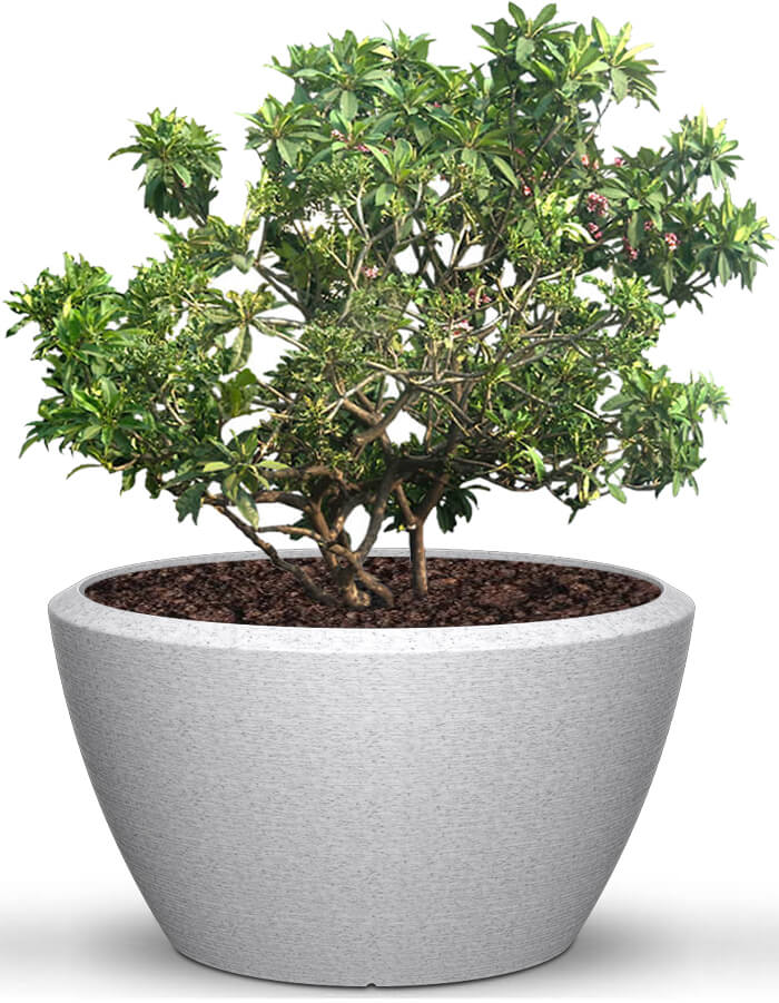 Piatto Extra Large Planter