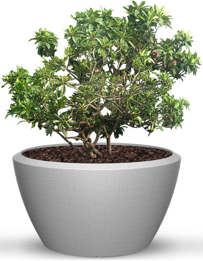 Piatto Extra Large Planter