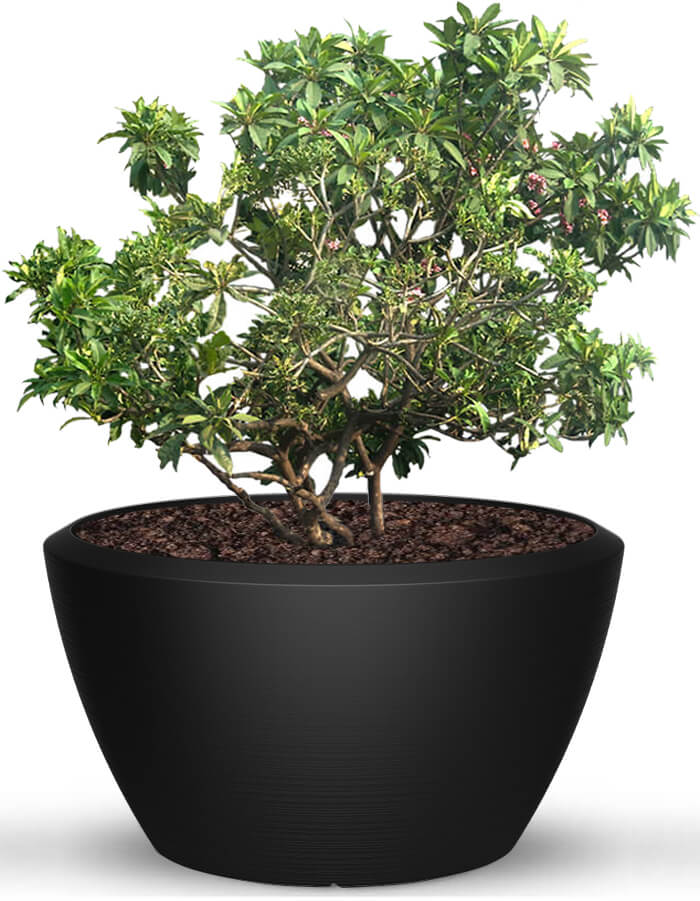 Piatto Extra Large Planter