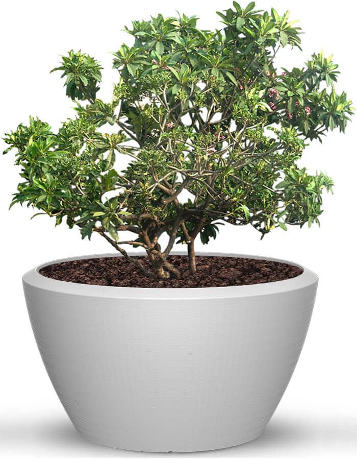 Piatto Extra Large Planter