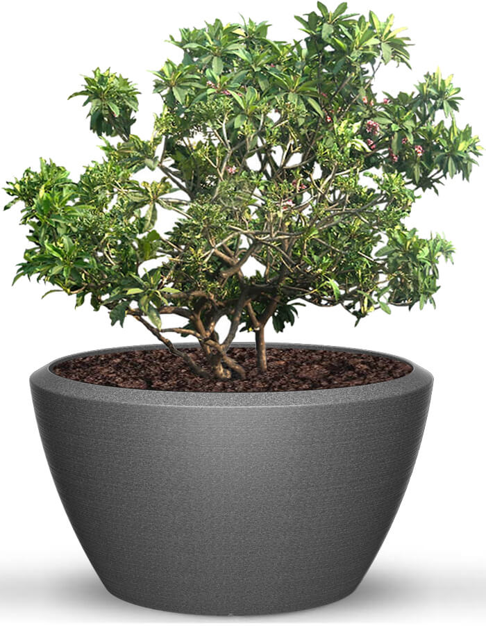 Piatto Extra Large Planter