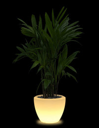Piatto LED Planter