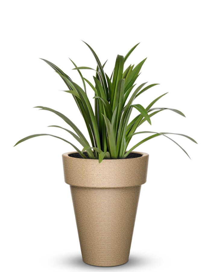 Sereno planters Elena Large LED Planter