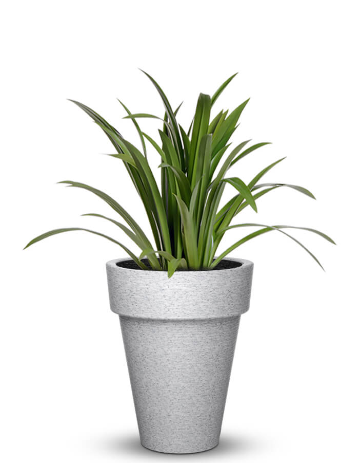 Sereno planters Elena Large LED Planter