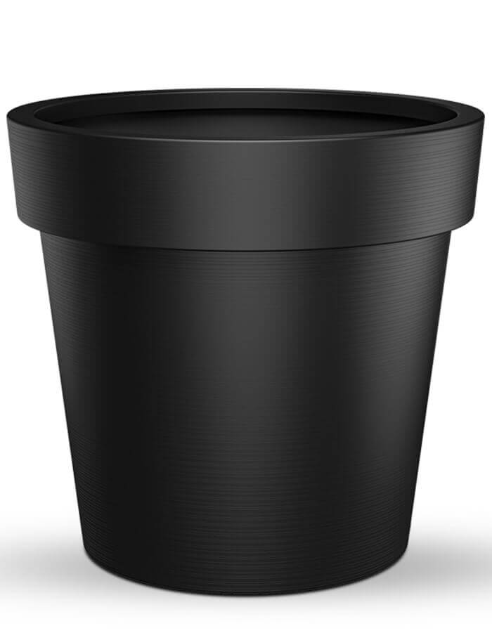 serenodelhi planters Eloisa Medium Planter