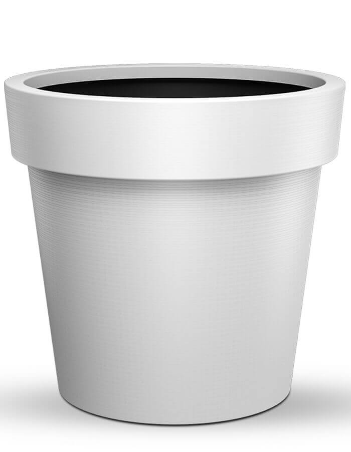 serenodelhi planters Eloisa Medium Planter