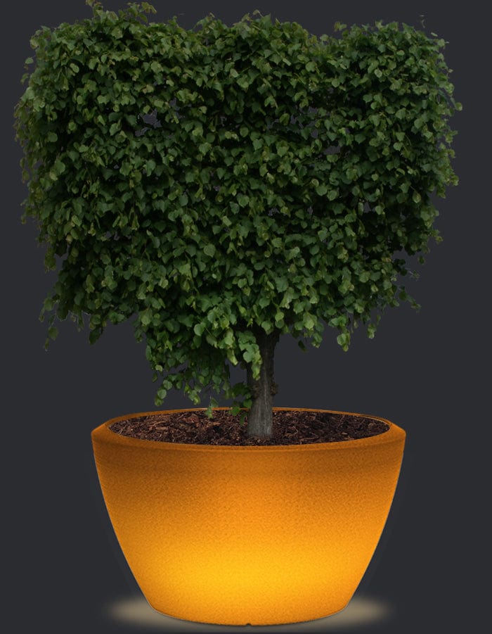 serenodelhi planters Extra Large / D114 X H90cm / Baltic Brown LED Piatto LED Extra Large Planter