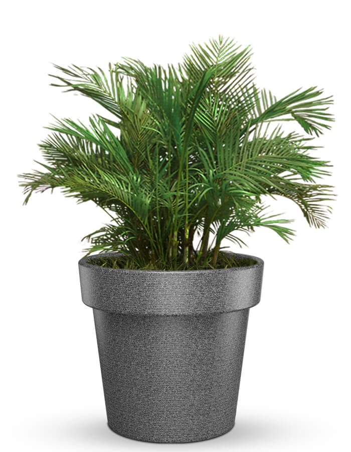 serenodelhi planters Large / D100 X H90cm / Sicilian Grey Eloisa Large Planter