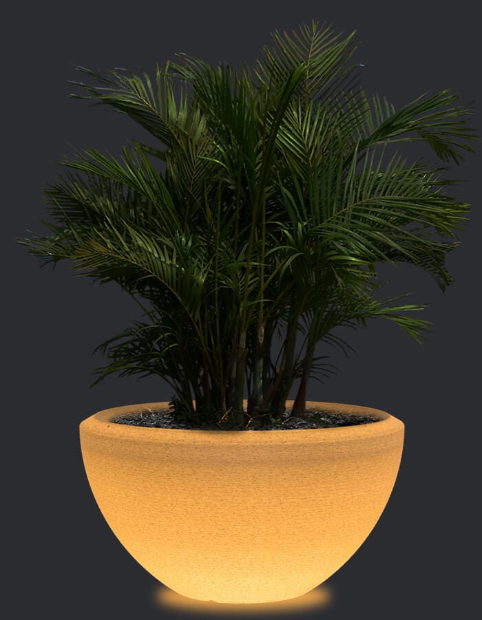 serenodelhi planters Large / D104 X H60cm / Exotic White LED Piatto Large LED Planter