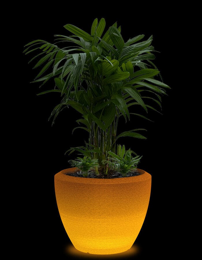 serenodelhi planters Large / D75 X H60cm / Baltic Brown LED Piatto Large LED Planter