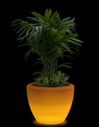 serenodelhi planters Large / D75 X H60cm / Baltic Brown LED Piatto Large LED Planter
