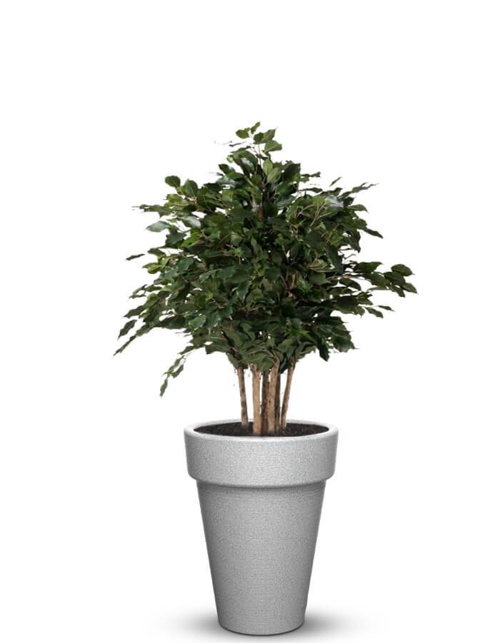 serenodelhi planters Medium / D45 X H60cm / Milano Grey Elena Medium Planter