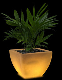 serenodelhi planters Medium / L60 X W60 X H45cm / Baltic Brown LED Orabella Medium LED Planter