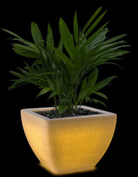 serenodelhi planters Medium / L60 X W60 X H45cm / Exotic White LED Orabella Medium LED Planter