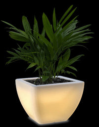 serenodelhi planters Medium / L60 X W60 X H45cm / Translucent White LED Orabella Medium LED Planter