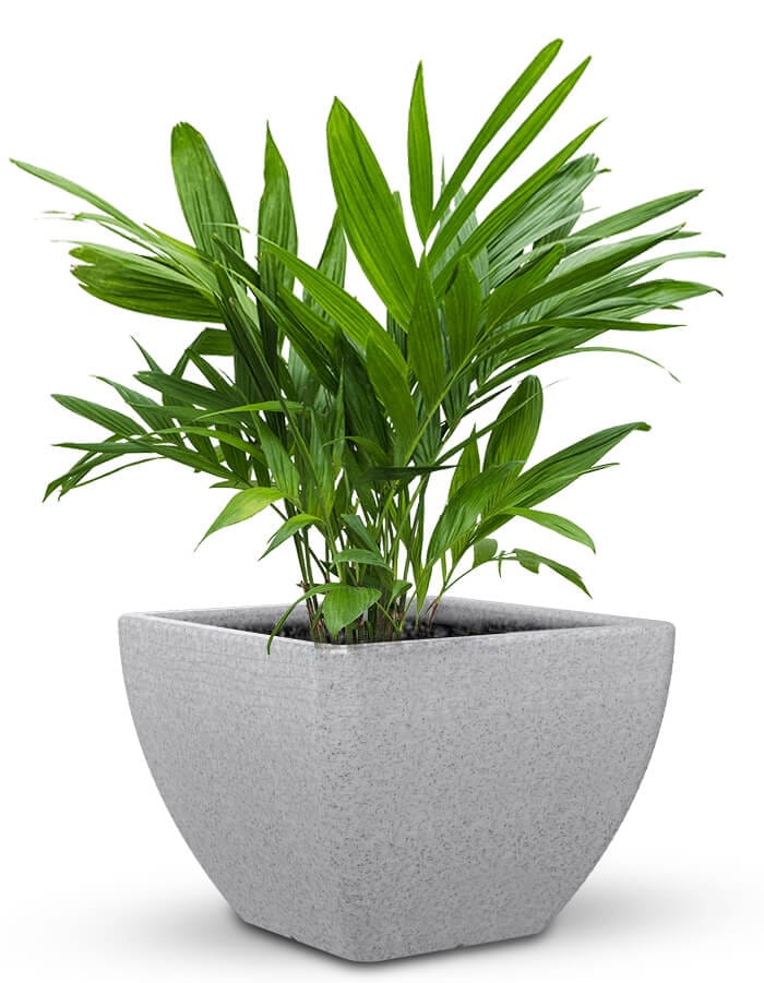Sereno planters Orabella Large LED Planter