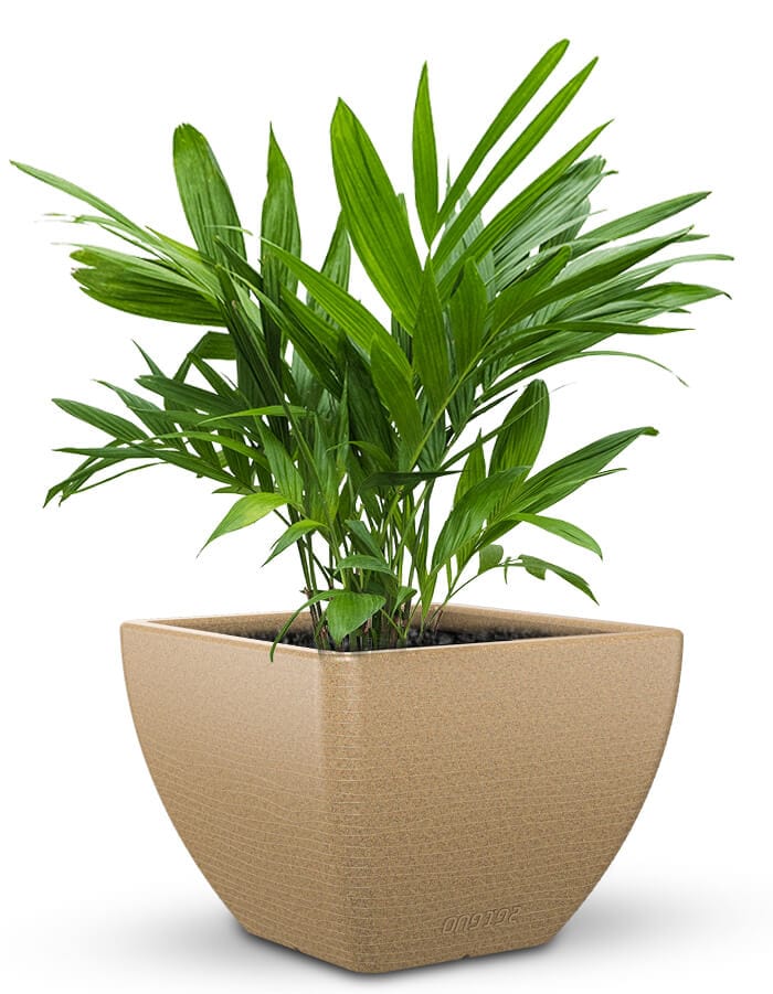 Sereno planters Orabella Large LED Planter