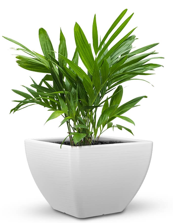 Sereno planters Orabella Large LED Planter