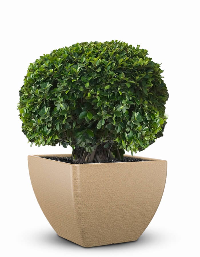 Sereno planters Orabella Large LED Planter