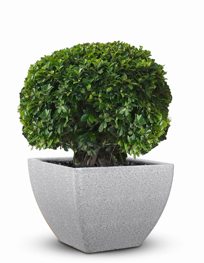 Sereno planters Orabella Large LED Planter