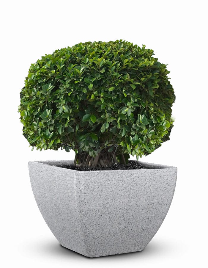 Sereno planters Orabella Large LED Planter