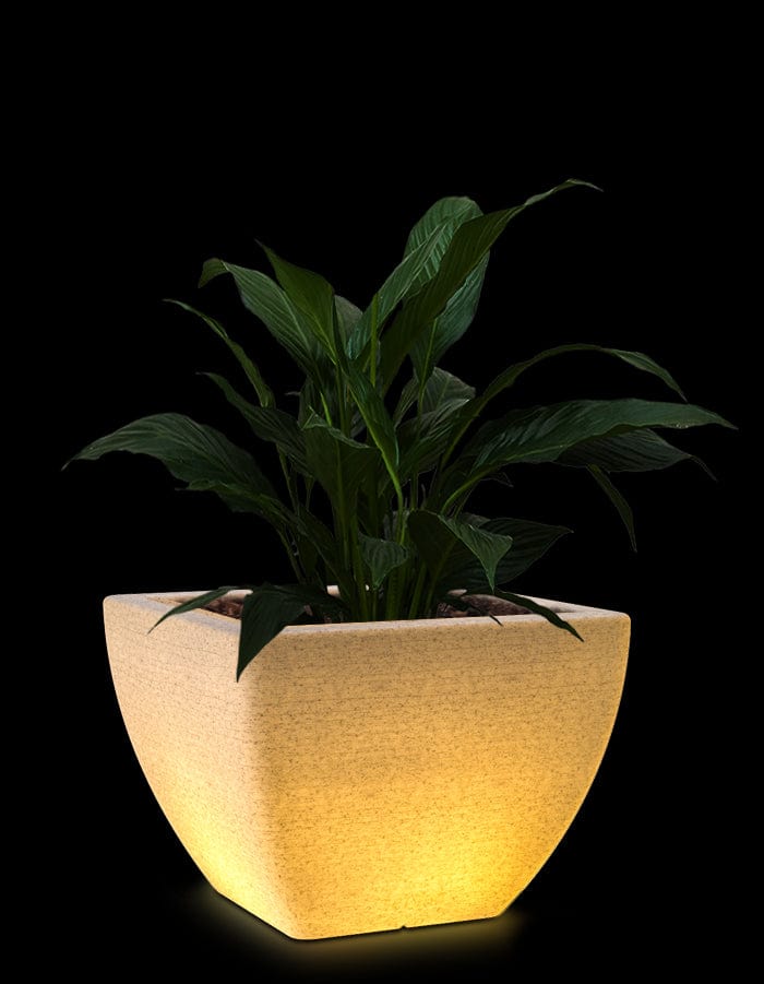 serenodelhi planters Orabella Medium LED Planter