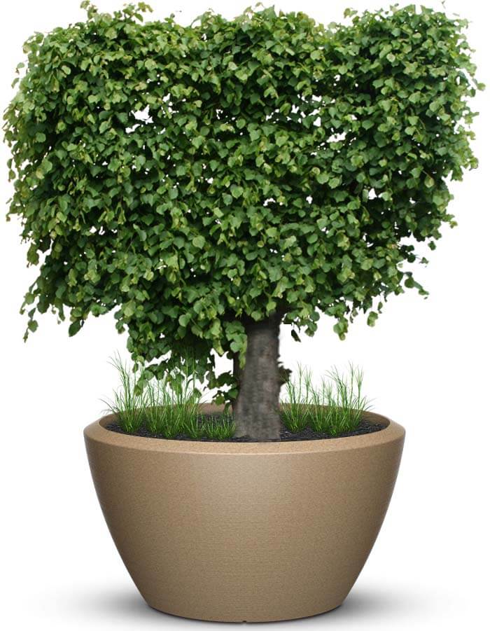serenodelhi planters Piatto LED Extra Large Planter