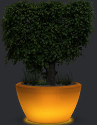 serenodelhi planters Piatto LED Extra Large Planter