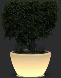 serenodelhi planters Piatto LED Extra Large Planter
