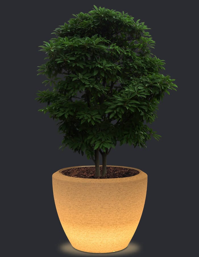 serenodelhi planters Piatto LED Extra Large Planter