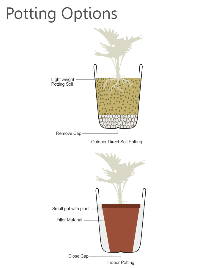 ROSA - Large Planter Combo (pack of 2)