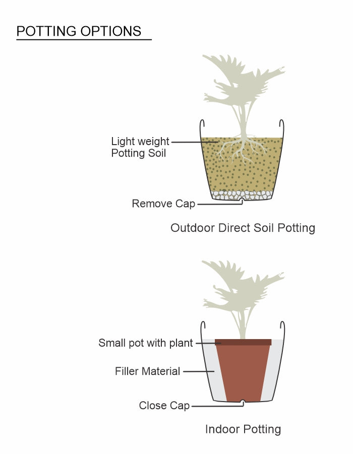 ROSA - Large Planter Combo (pack of 2)