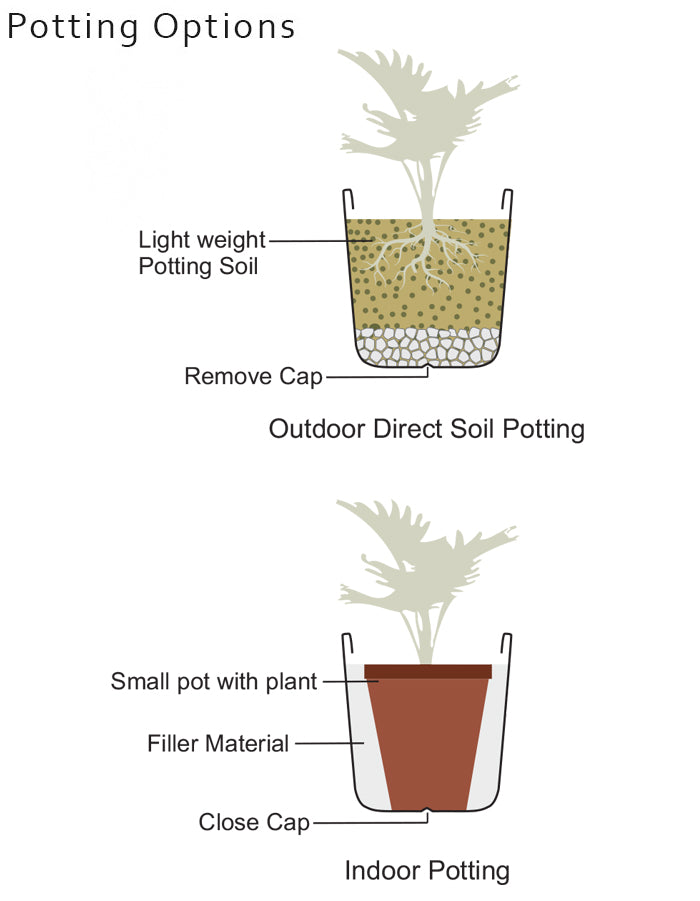 STELLA  - Medium Planter Combo (pack of 2)